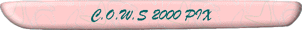C.O.W.S 2000 PIX