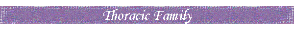 Thoracic Family