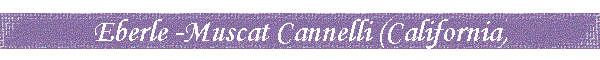 Eberle -Muscat Cannelli (California)