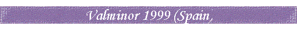 Valminor 1999 (Spain)