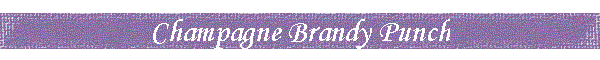 Champagne Brandy Punch